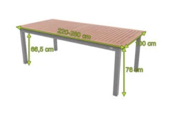 DOPPLER Expert Esstisch, Silber/Holzoptik, Aluminium, 220-280x100 Cm, Ausziehbar -Doppler Verkäufe 5 20900.jpg